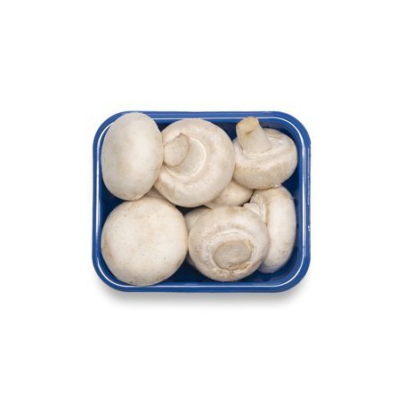 MUSHROOMS 8 OZ