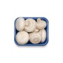 MUSHROOMS 8 OZ