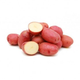 POTATOES RED ORGNC