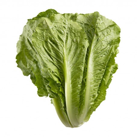 LETTUCE ROMAINE HRTS ORG EA