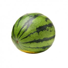 WATERMELON MELON MINI