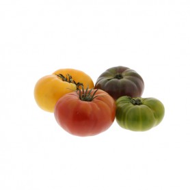 TOMATOES HEIRLOOM