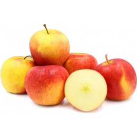 APPLES PLUMAC