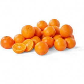 CLEMENTINE 3# WM