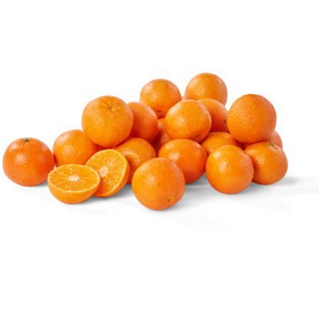 CLEMENTINE 3# WM