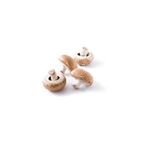 MUSHROOMS HEIRL PORTS MTRY 8 OZ