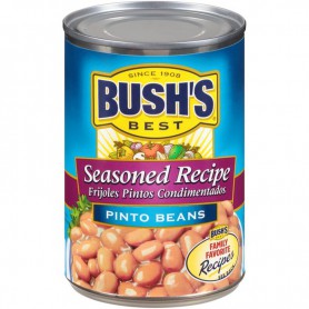 BUSHS SEASONED PINTO BEANS (16 OZ)