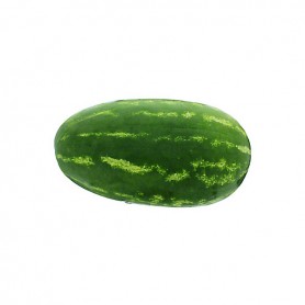 WATERMELON MELON