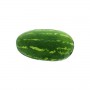 WATERMELON MELON