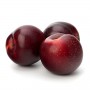PLUMS RED