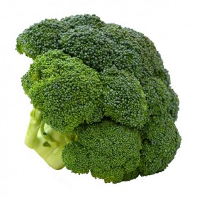 BROCCOLI