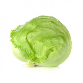 ICEBERG LETTUCE