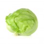 ICEBERG LETTUCE