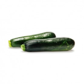 ZUCCHINI/COURGETTE SQUASH