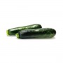 ZUCCHINI/COURGETTE SQUASH