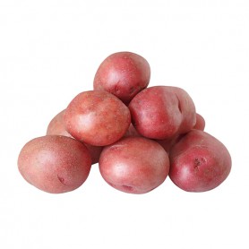 POTATO RED IPA