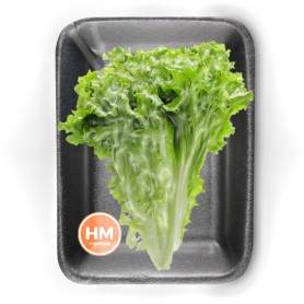 LETTUCE GREEN LEAF