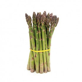 ASPARAGUS-GREEN