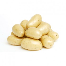 POTATO WHITE SIZE B IPA