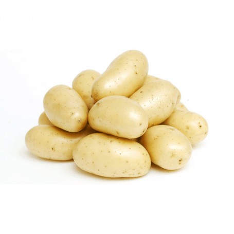 POTATO WHITE SIZE B IPA