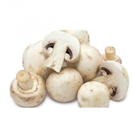 MUSHROOMS REGULAR