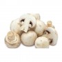 MUSHROOMS REGULAR