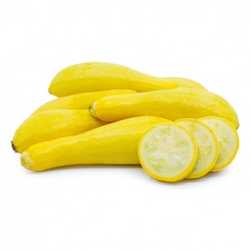 SQUASH ZUCHINNI YELLOW GOLD