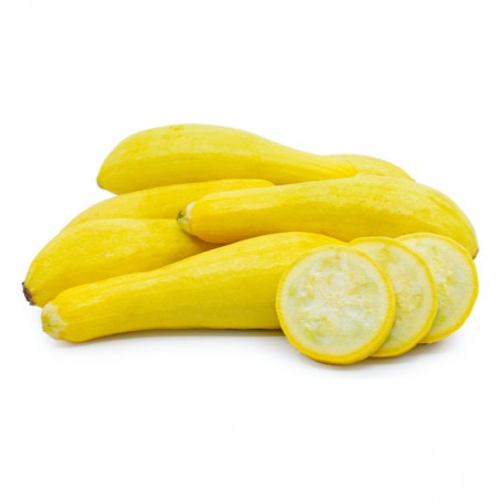 SQUASH ZUCHINNI YELLOW GOLD