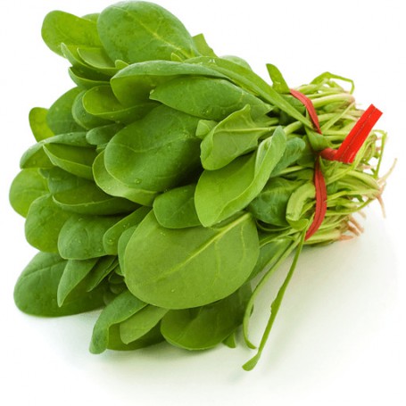 SPINACH-REGULAR/BUNCHED