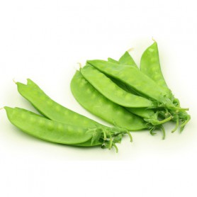 CHINESE SNOW PEA/PEA POD/MANGE TOUT PEAS