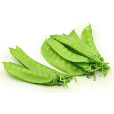 CHINESE SNOW PEA/PEA POD/MANGE TOUT PEAS