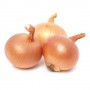 ONIONS YELLOW/BROWN