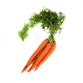 BUNCH CARROTS