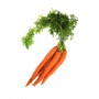 BUNCH CARROTS