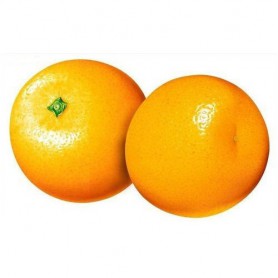 ORANGES, FNCYHARVEST CL 2 PACK