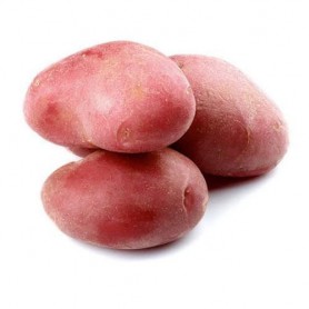 POTATOES RED HARVEST CL. 10 CT