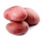 POTATOES RED HARVEST CL. 10 CT