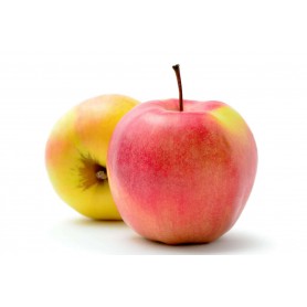 APPLES JONAGOLD
