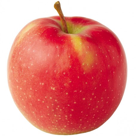 APPLES JONATHAN