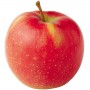 APPLES JONATHAN