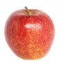 APPLES JONATHAN