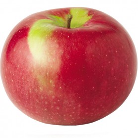 APPLES MCINTOSH