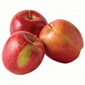 APPLES APPLES