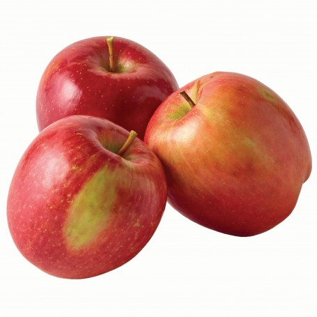 APPLES APPLES