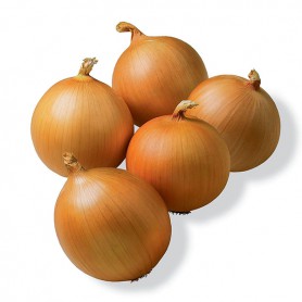 ONIONS TEXAS SWEET