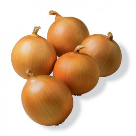 SWEET ONIONS OTHER