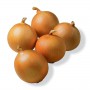SWEET ONIONS OTHER