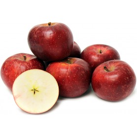 APPLES ROME