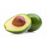 AVOCADOS GREEN