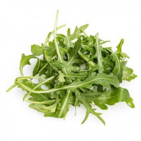 ARUGULA ORGANIC .66 OZ